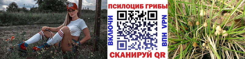 Псилоцибиновые грибы MAGIC MUSHROOMS Белогорск
