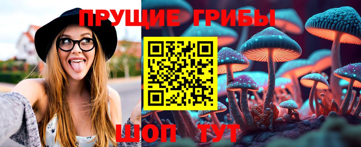 Псилоцибиновые грибы Psilocybe  Галлюциногенные грибы MAGIC MUSHROOMS  Вход с VPN  Белогорск 